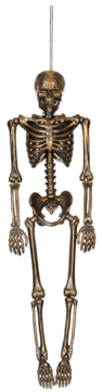Halloween Gothic Hanging Human Skeleton Decoration (360x360), Png Download