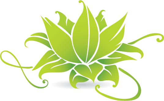 Tania Liked The Graphic Style Of Clean Edges And 2d - Lotus Graphics (536x331), Png Download