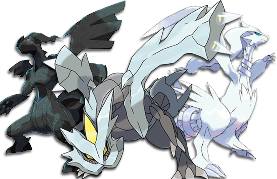 5th Gen [zekrom] Vs Reshiram Vs Kyurem [archive] - Pokemon Reshiram And Zekrom And Kyurem (566x357), Png Download