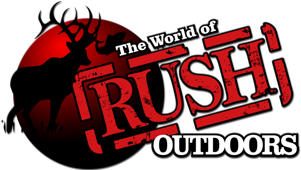 Graphic Design (1100x578), Png Download