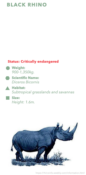 White Rhino - Black Rhinoceros (279x568), Png Download