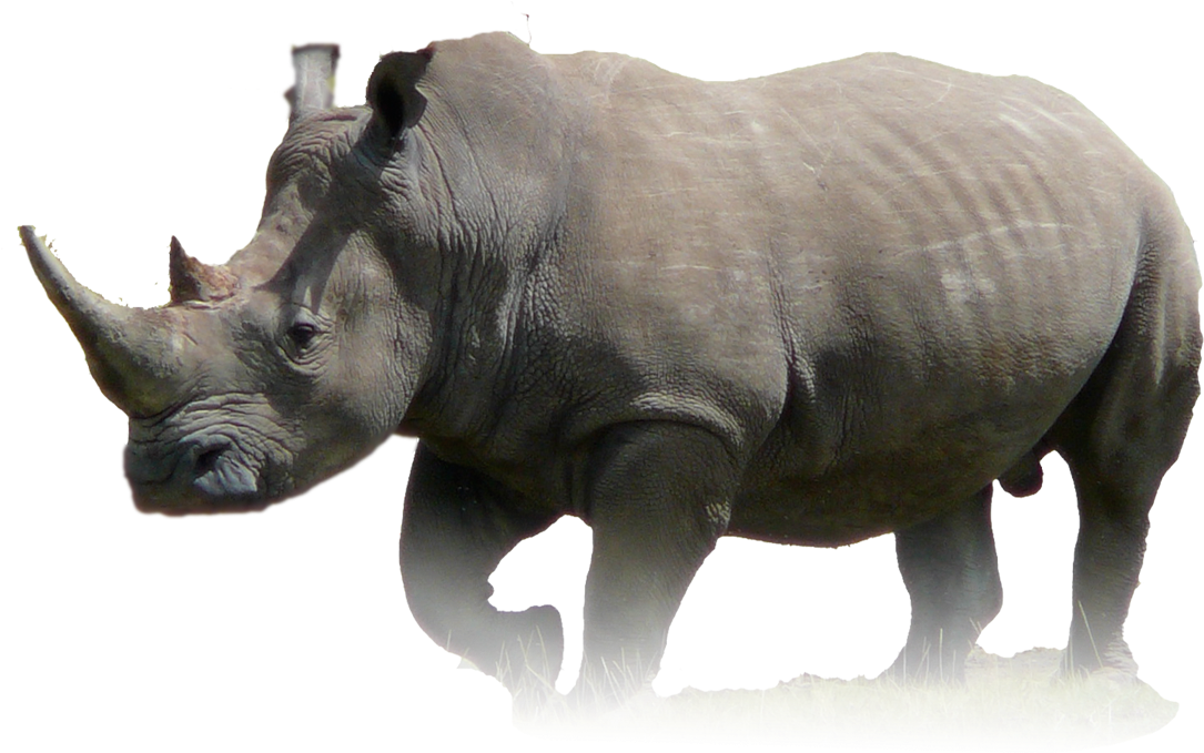 Rhino - Faded - Rhino Png (1188x678), Png Download