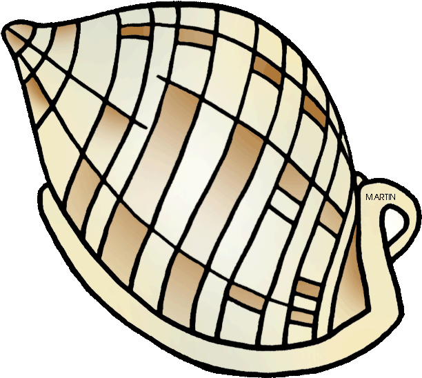 North Carolina State Shell - North Carolina (648x599), Png Download