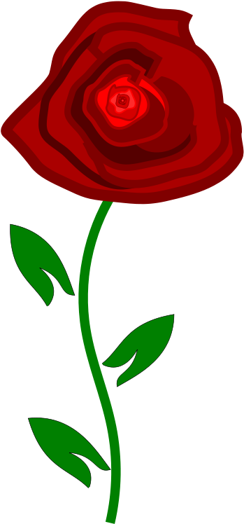 Red Rose / Png - Transparent Rose Mexican (566x800), Png Download