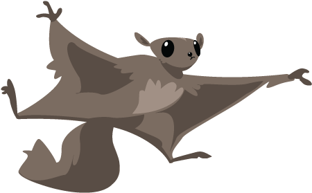 Kidsfest-flyingsquirrel - Portable Network Graphics (504x504), Png Download