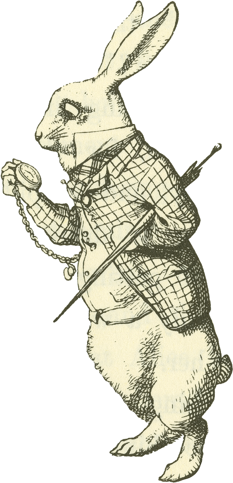 Alice Module2 Aaiw1984tenniel - White Alice In Wonderland Quotes (941x1725), Png Download