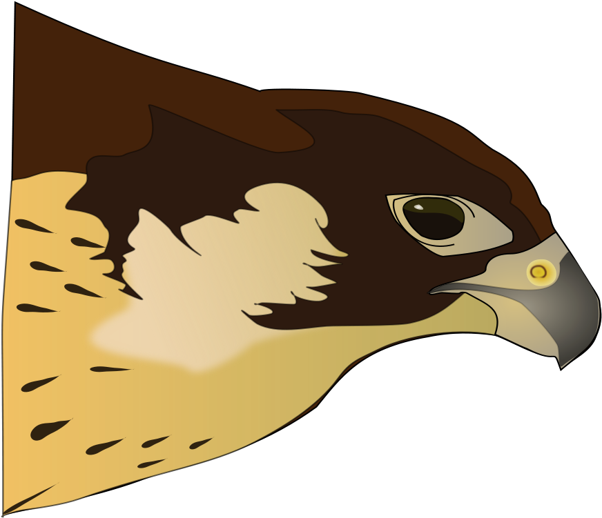 How To Set Use Halcón-hawk Clipart (900x892), Png Download