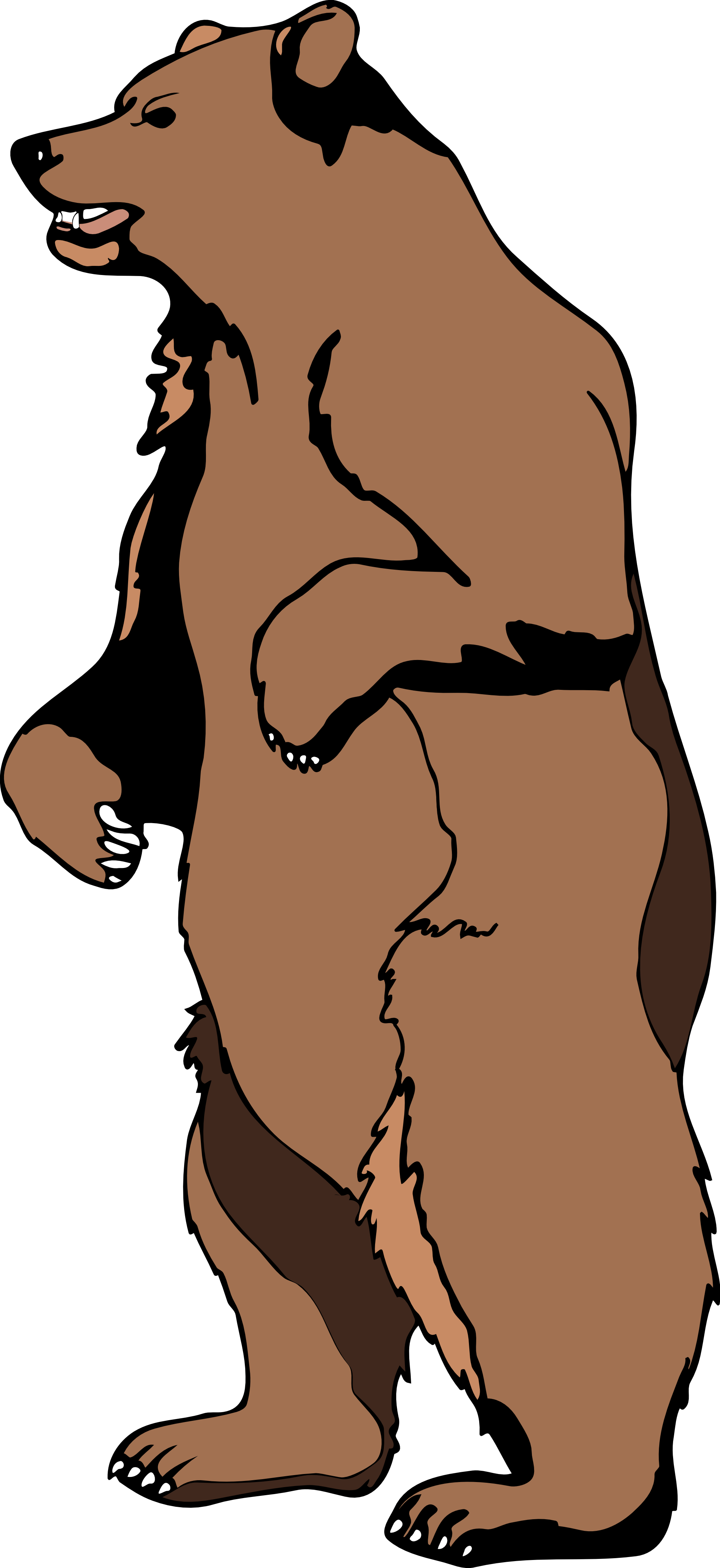 Clip Art Grizzly Bear Clipart Panda - Bear Standing Up Cartoon (1979x4305), Png Download
