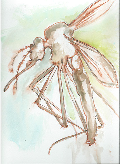 A Life Worth Living - Sketch (572x555), Png Download