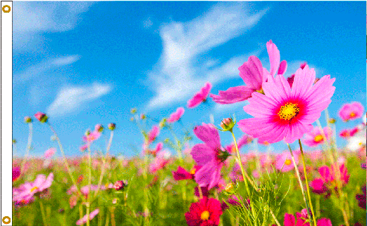 Spring Flowers Flag - Online Stores 3ft X 5ft Decorative Flag - Pink Flowers (520x416), Png Download