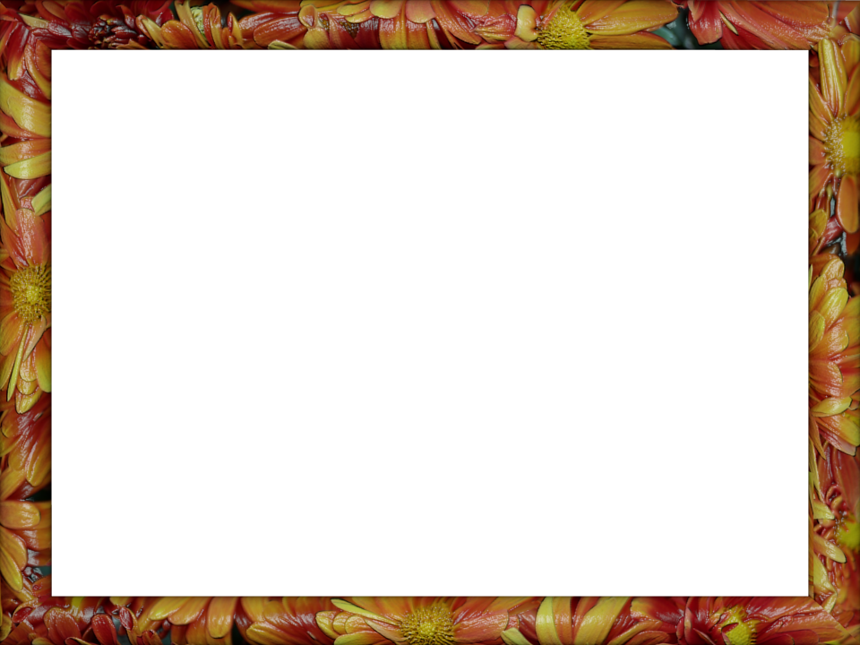 Bildergebnis Für Png Transparent Border - 10 Jatiyalu In Telugu (960x720), Png Download