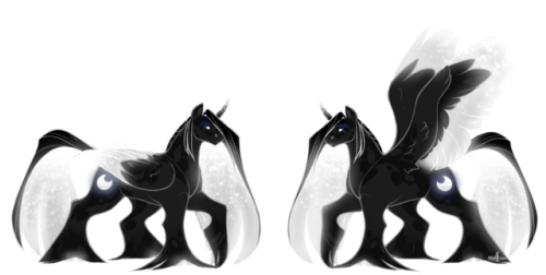 4 - Stallion (500x252), Png Download