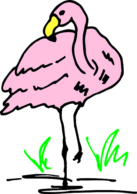 Water, Cartoon, Pink, Bird, Grass, Art, Flamingo - Flamingo Cartoon (452x640), Png Download
