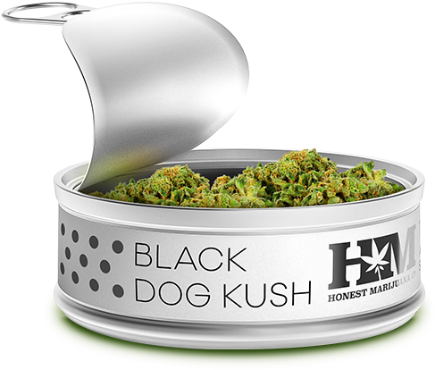 Honest Flower - Cannabis Products Png (1200x430), Png Download