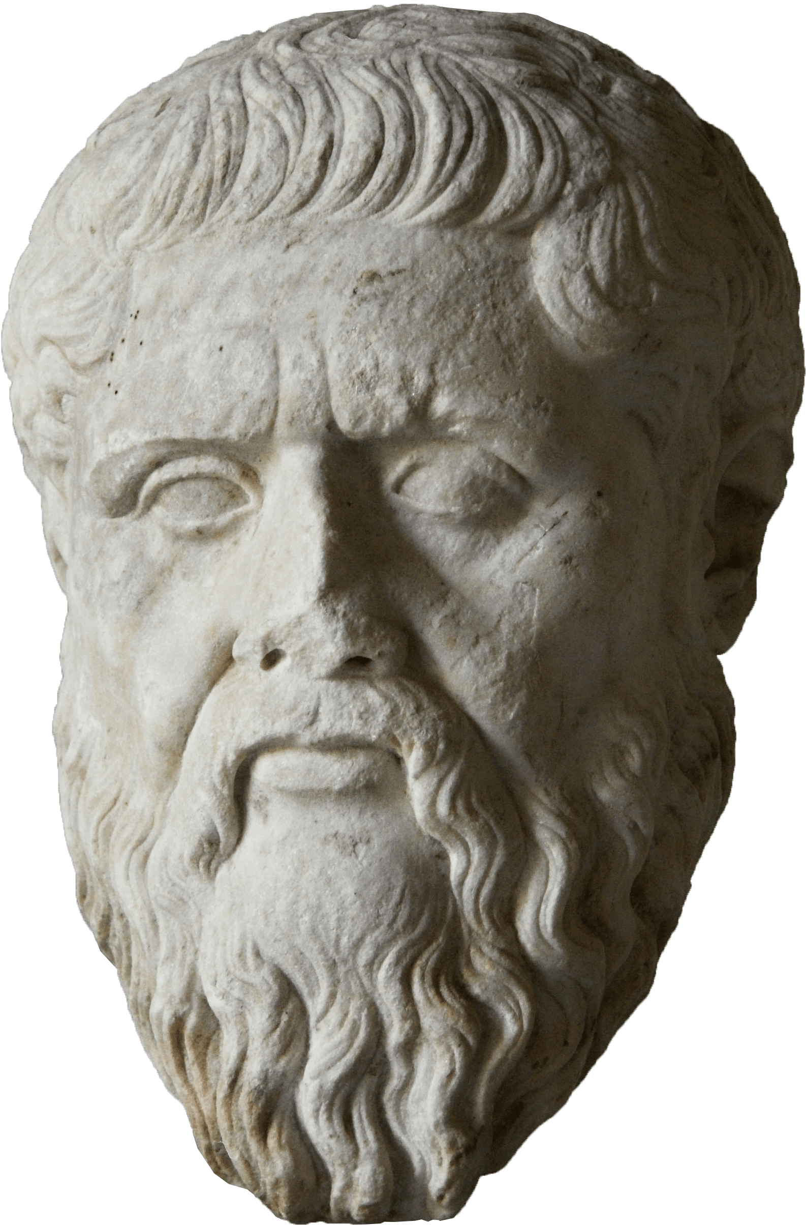 Head Of Plato, 370 Bce Ancient Greece, - Plato Fasting (1877x2813), Png Download