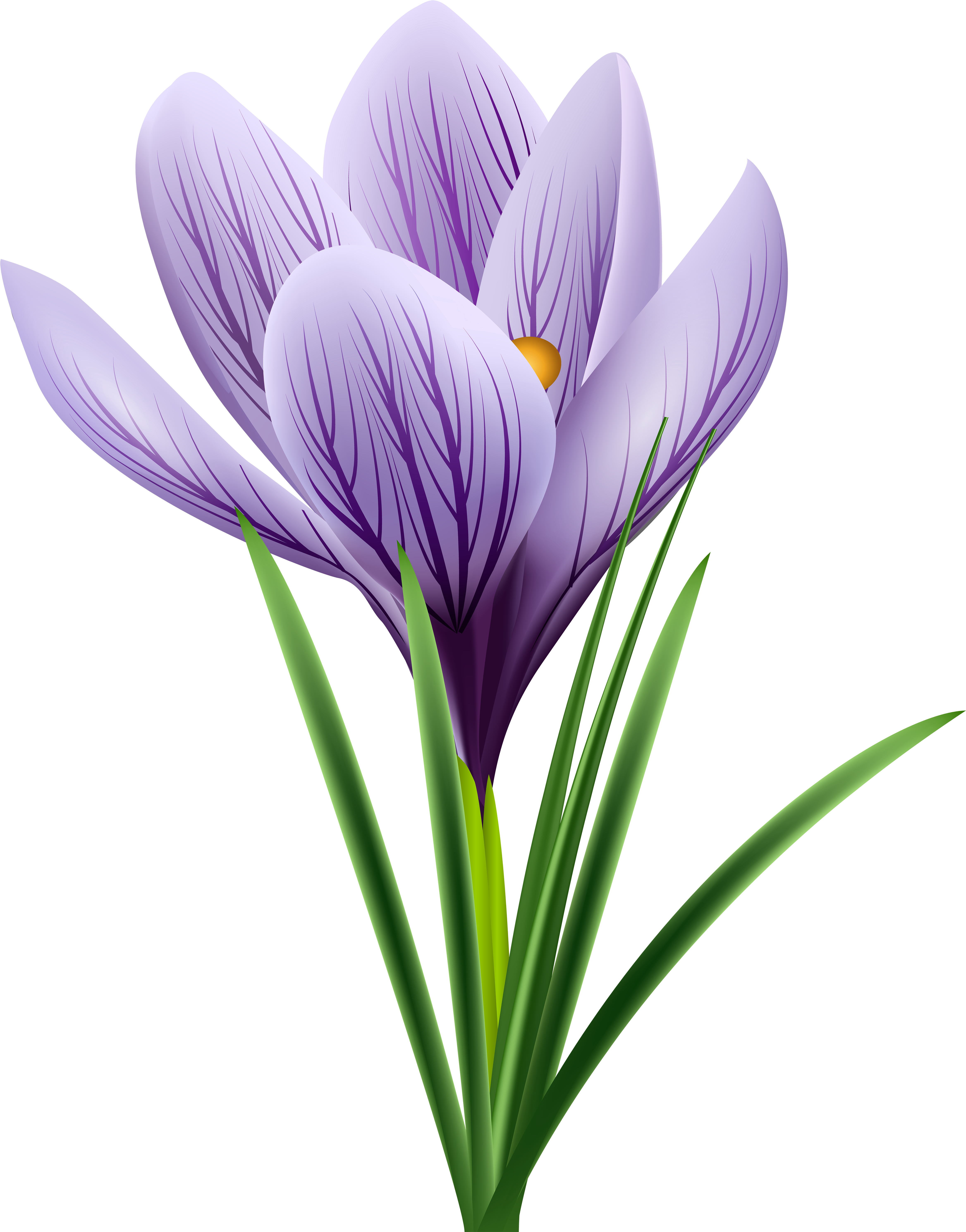 Purple Flower - Крокус Пнг (4737x6000), Png Download