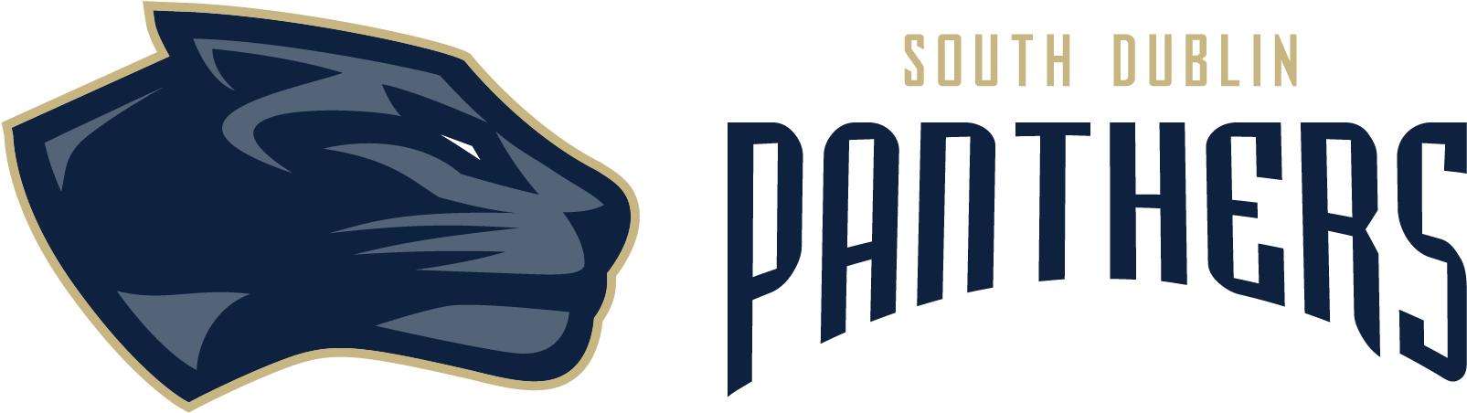 South Dublin Panthers - South Dublin Panthers Logo (1667x667), Png Download