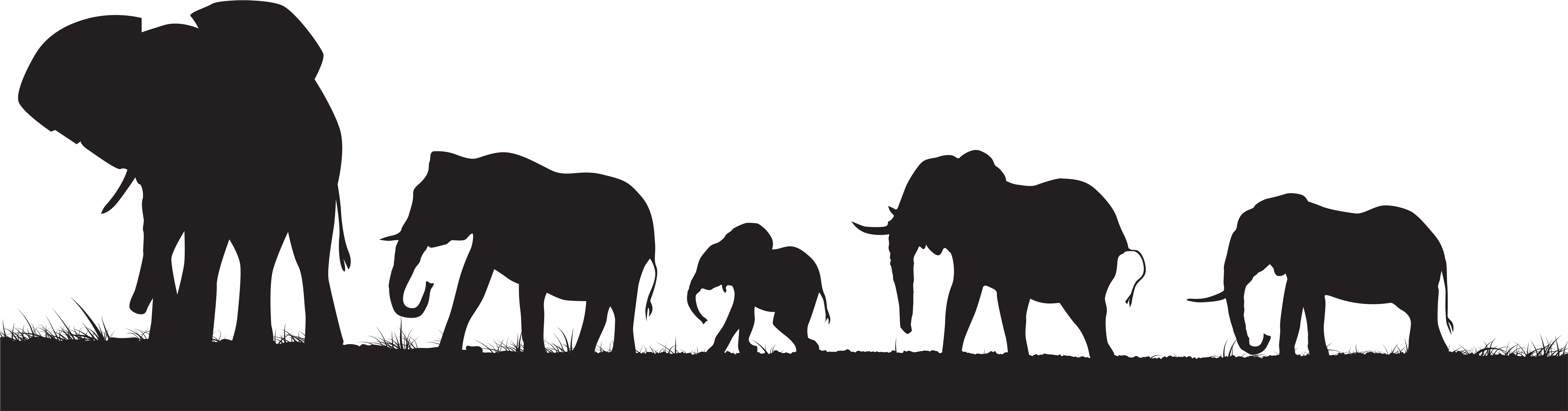 Herd Of Elephants Silhouette (8000x2228), Png Download