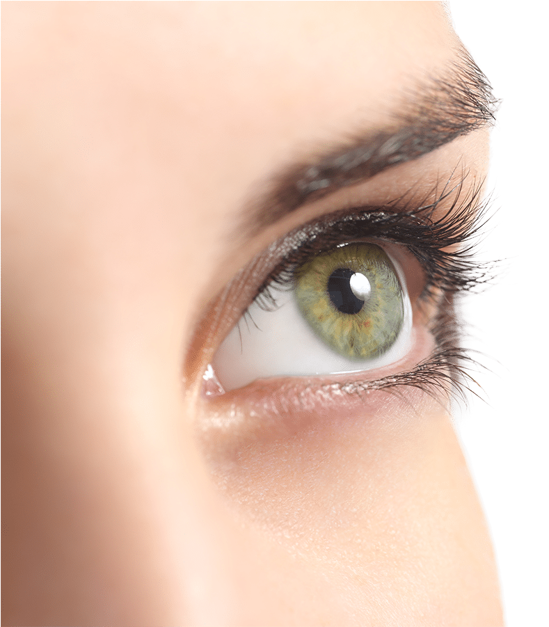 Our Aesthetician Has Been Performing Individual Extensions - Optimized Products Best Biotin Peptide Infused Eyebrow (816x900), Png Download