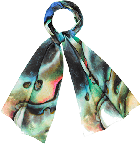 Abalone (485x500), Png Download