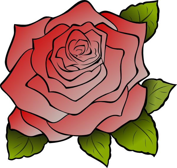 How To Set Use Red Rose Clipart (600x572), Png Download