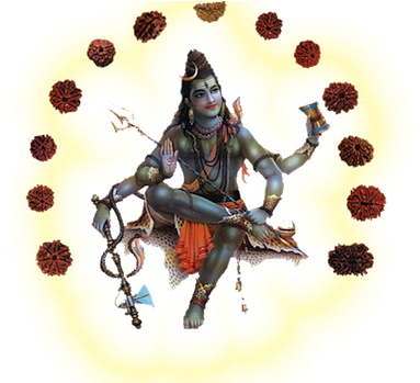 Rudraksha Small - Lord Shiva (400x348), Png Download