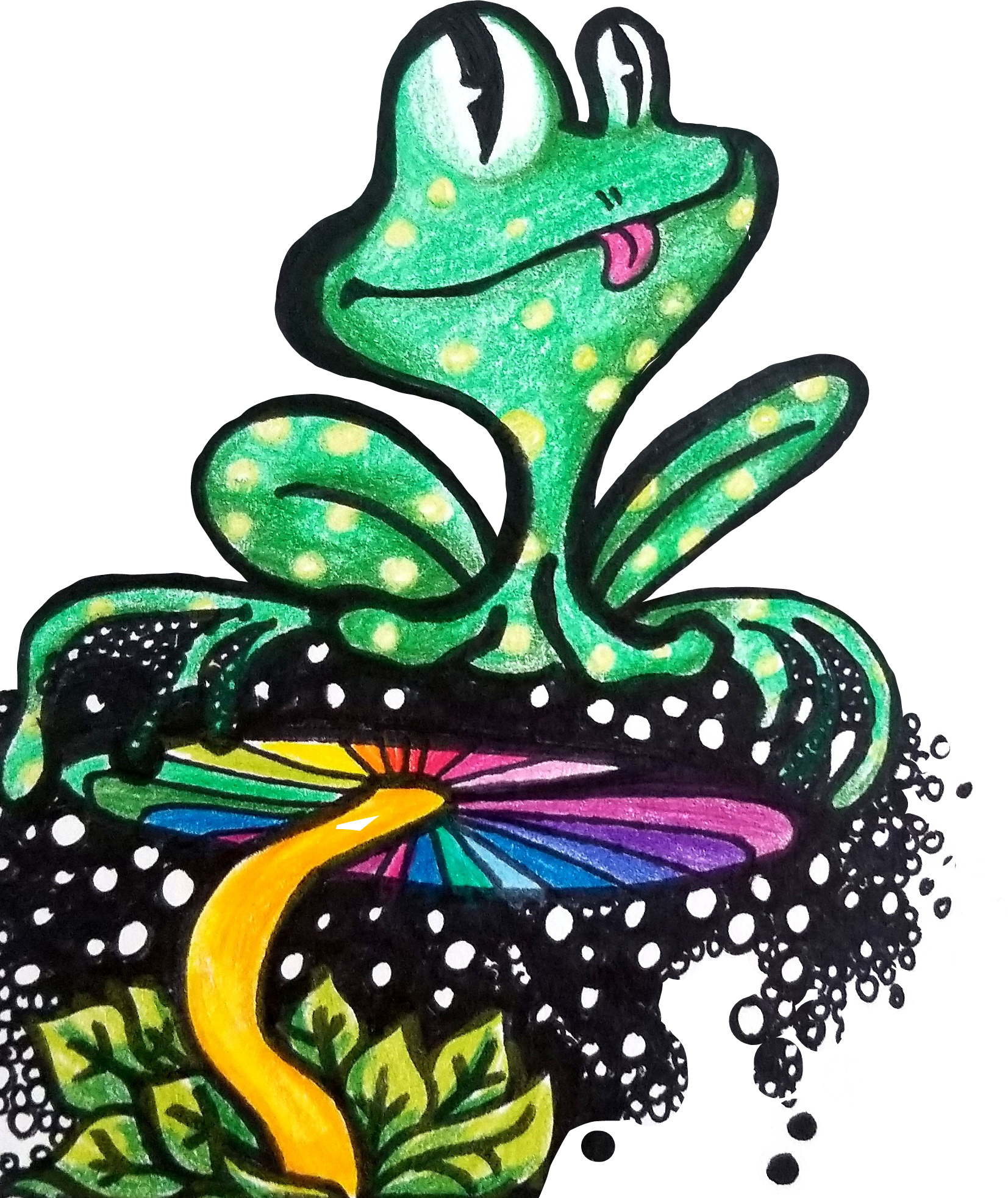 Info - Shrub Frog (1653x1965), Png Download