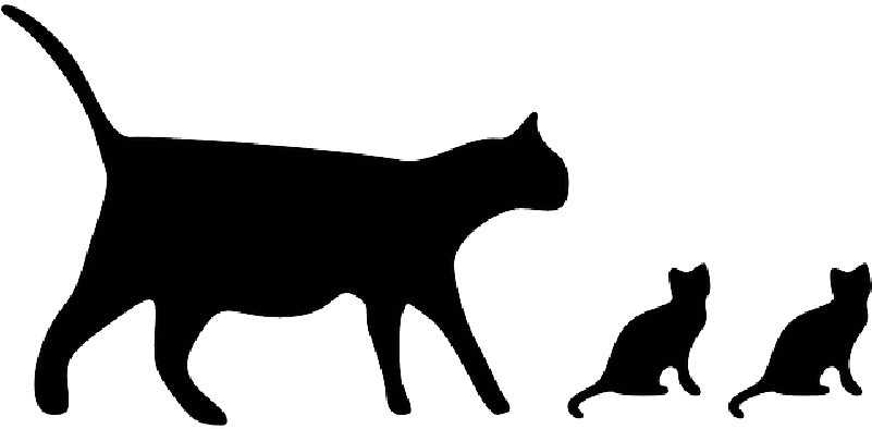 Cat, Black, Icon, Silhouette, Mammals, Cats - Cat Icon (800x400), Png Download