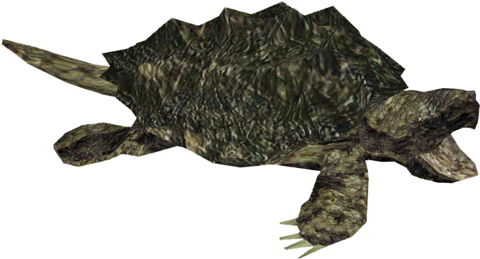 Alligator Snapping Turtle - Snapping Turtle Png (685x685), Png Download
