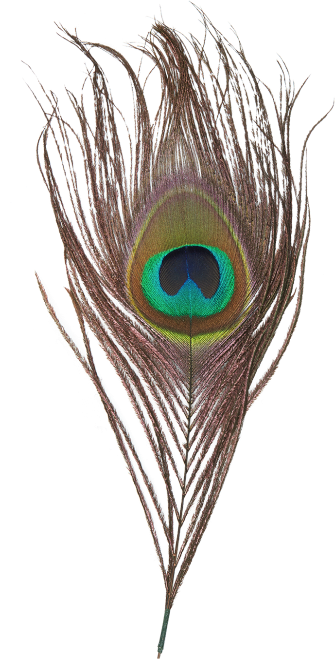 Gloria Feather - B2c Catalog - Goorin Bros. (2000x2000), Png Download