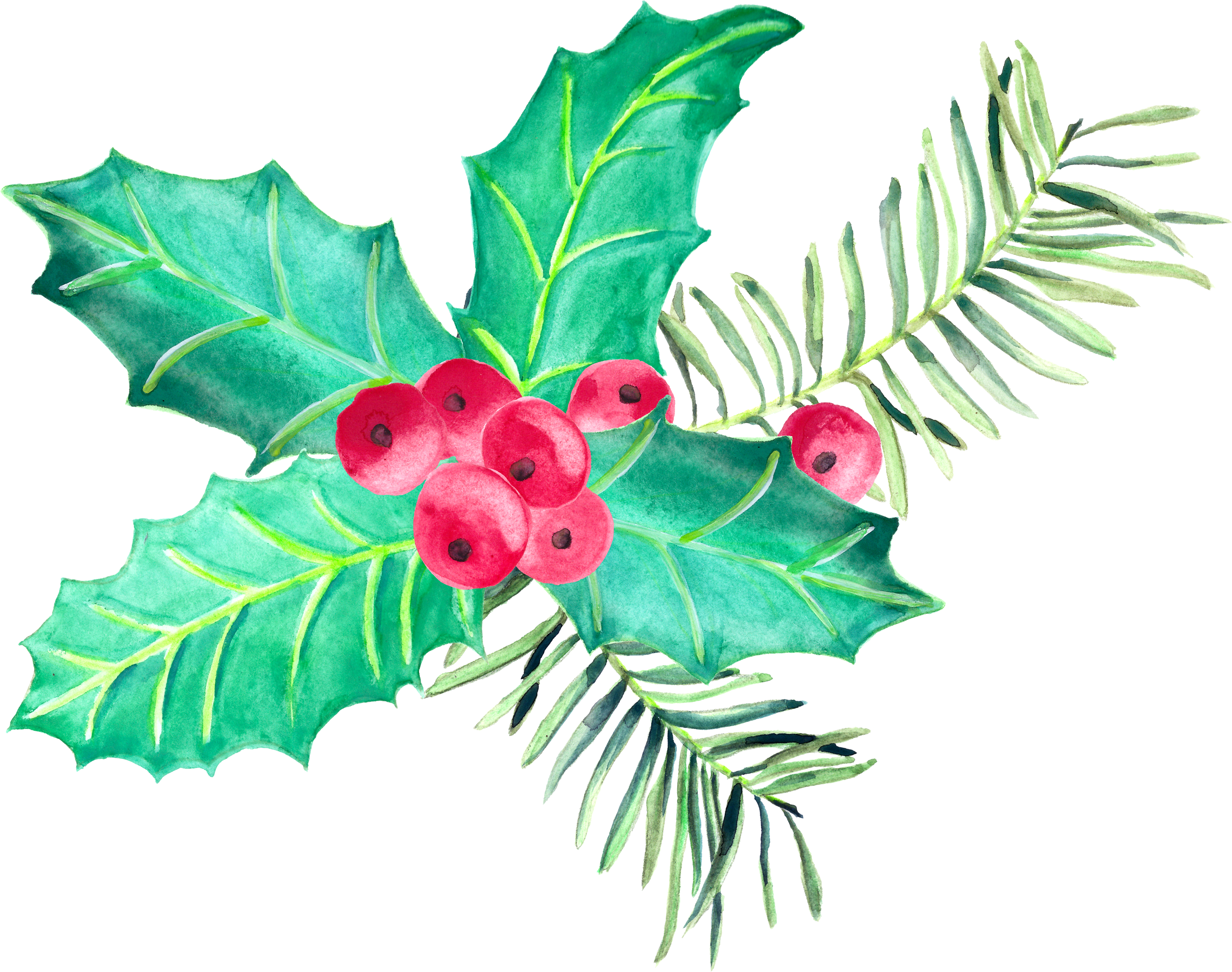 Watercolour, Cgi, Natal, Pen And Wash, Watercolor Painting, - Plants (3000x2366), Png Download