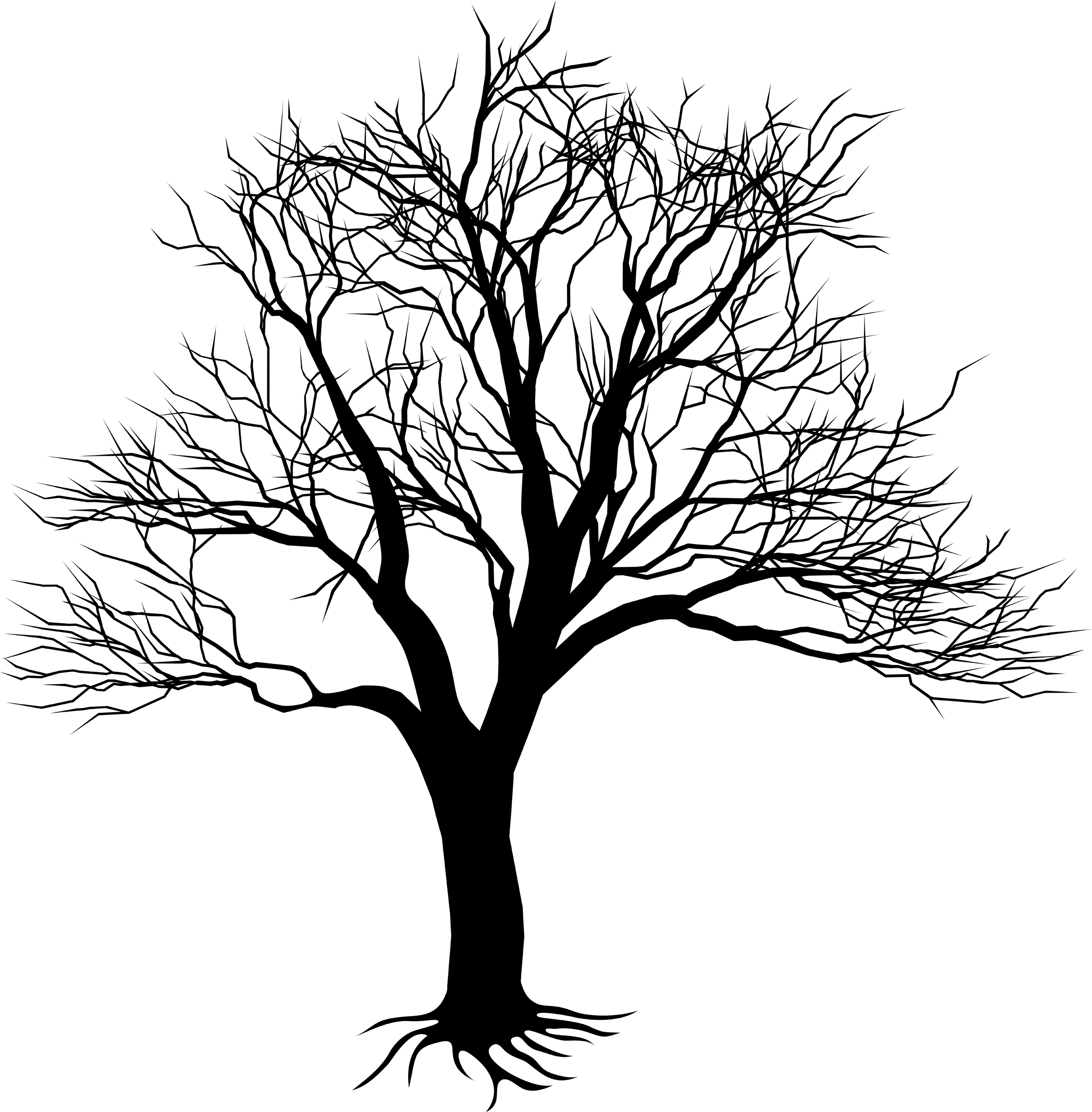 Drawing Of Tree On Wall - Kill A Mockingbird Tree (2357x2400), Png Download