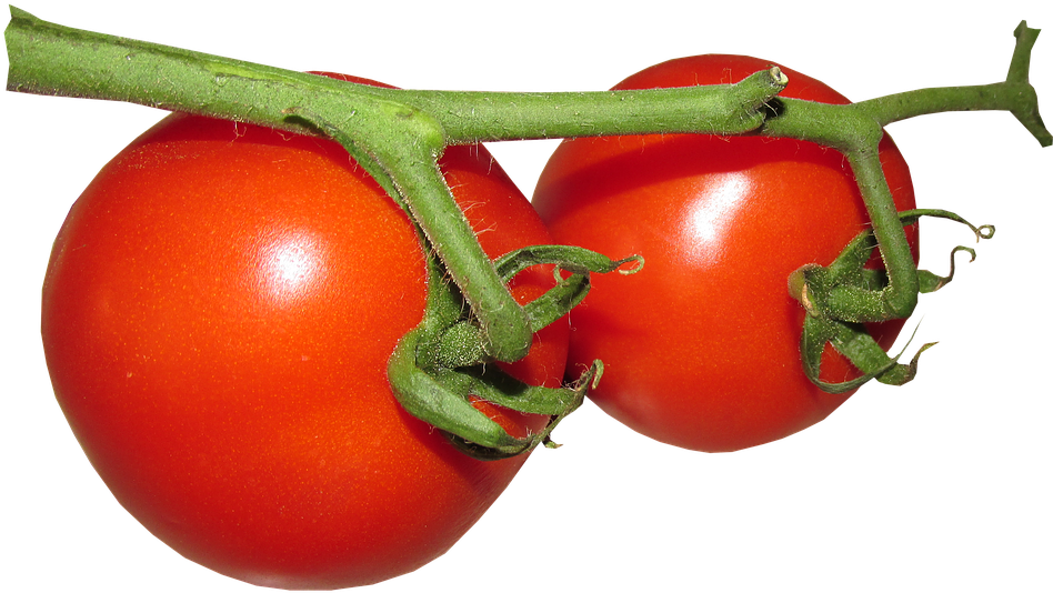 Fresh Tomato Free Png Image - Food (960x569), Png Download