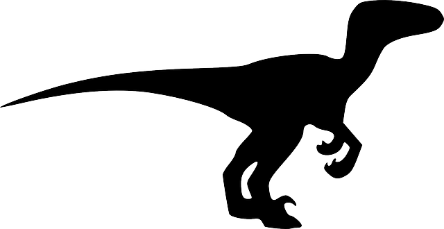 Dinosaur, Animal, Black, Extinct, Silhouette - Velociraptor Silhouette (640x330), Png Download
