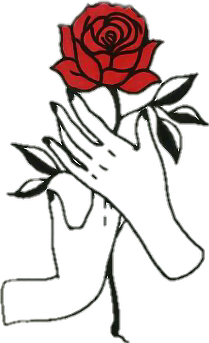 Rose Hands Aesthetic Draw - Png Rose (430x704), Png Download