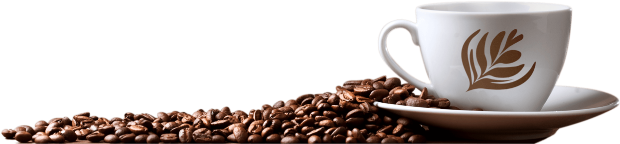 Coffee Png Image - Coffee Cup And Beans (1280x289), Png Download