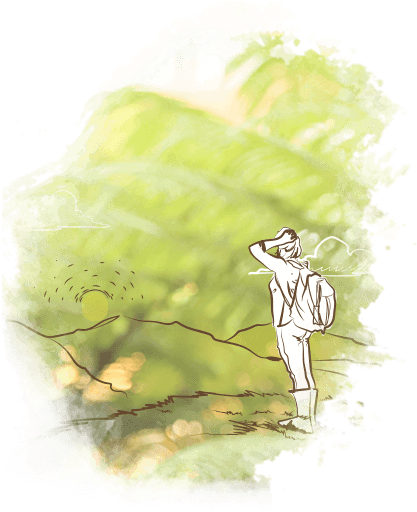 Maria Luisa Trejos - Illustration (434x535), Png Download