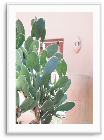 California Cactus No I California Cactus No I - Cactus, California (476x600), Png Download