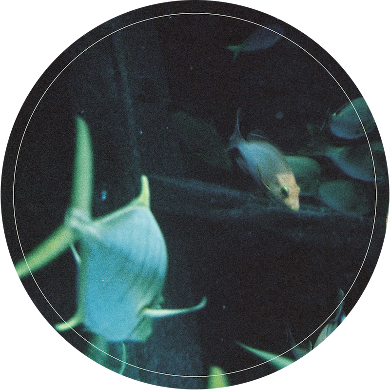 Side B Soundcloud (800x799), Png Download