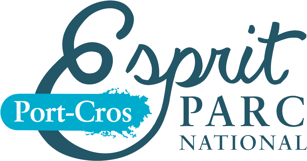 Esprit Parc National Port Cros Transparent - Piazza Del Campo (1477x798), Png Download