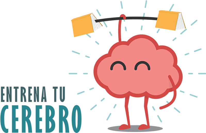 Incrementa Algunas Áreas Del Cortex Cerebral Lo Que - Brain Clipart Png (800x578), Png Download