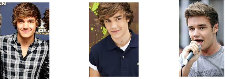 Since Then He Was Put Into The Band One Direction Alongside - Cheap Men Wigs Short Lace Front Cap Human Hair For (734x259), Png Download