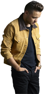 Liam Payne Png - Liam Made In The Am (500x334), Png Download