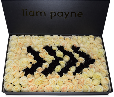 Lovely Roses Carefully Selected And Treated - Chess (498x332), Png Download