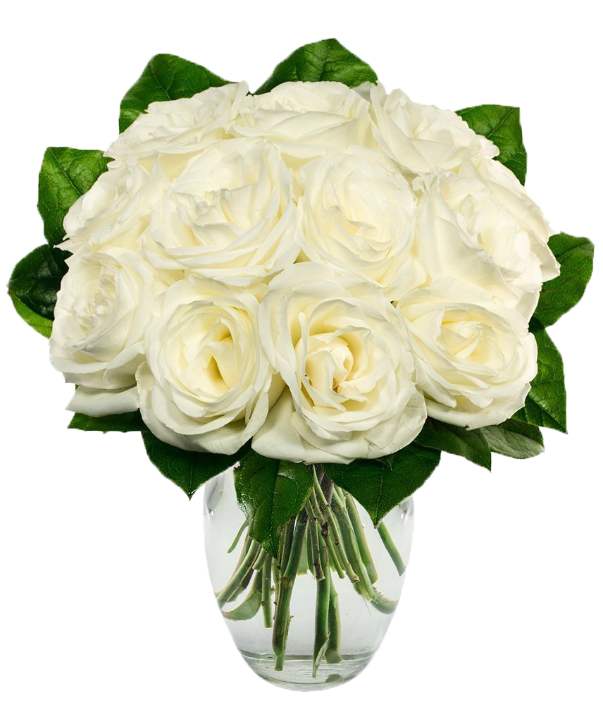 White Roses (856x1000), Png Download