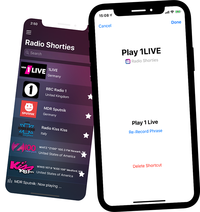 Homepod Siri Shortcut Radio - Siri (650x689), Png Download