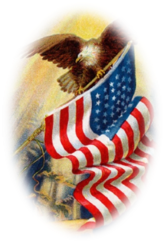 Fortnight - Happy 4th Of July Blessings (323x475), Png Download