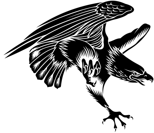 Black Hawk Bird Tattoo (500x432), Png Download