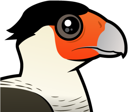 Also Known As - Caracara (440x440), Png Download