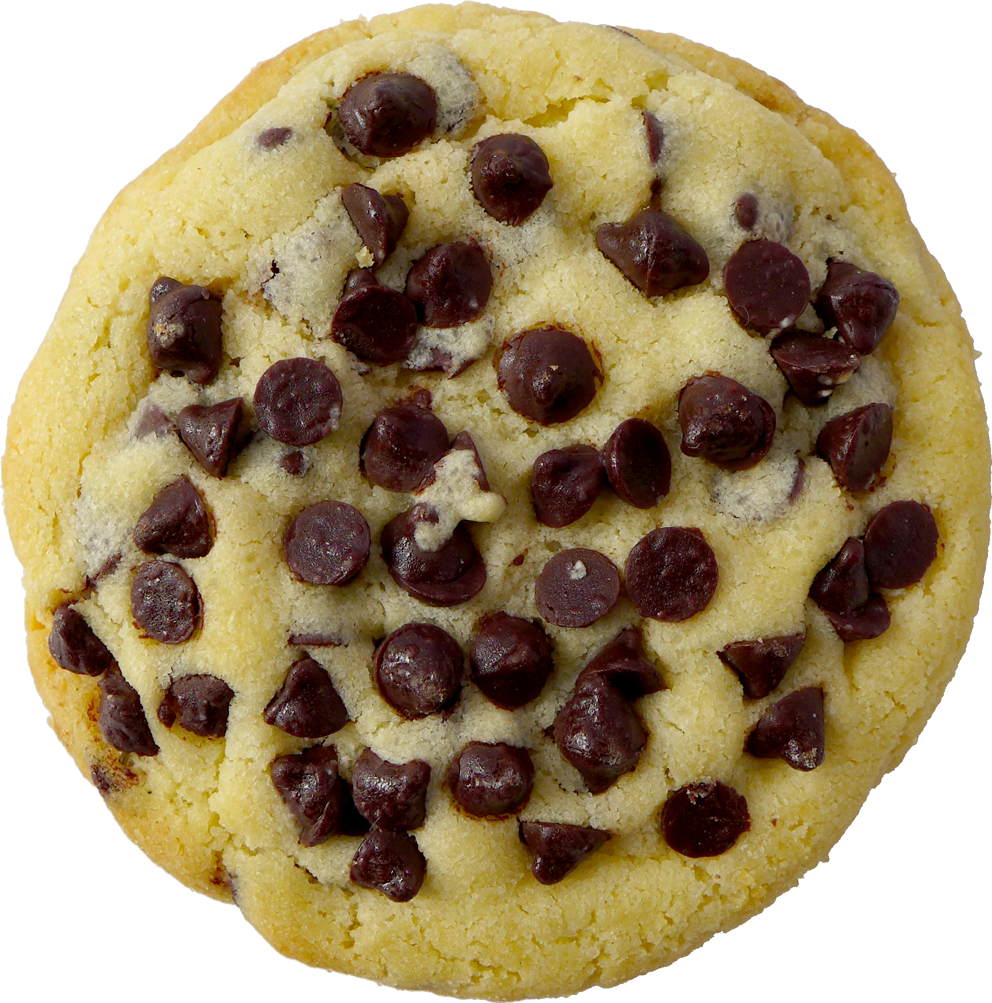 Walnut - Soul Cake (2104x2112), Png Download